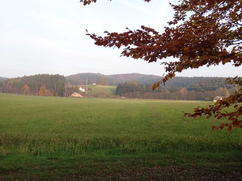 Blick zum Hohenberger Hügel und zum Hengstberg