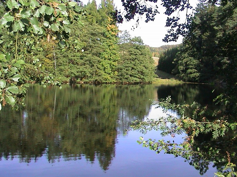 Der Singersteich